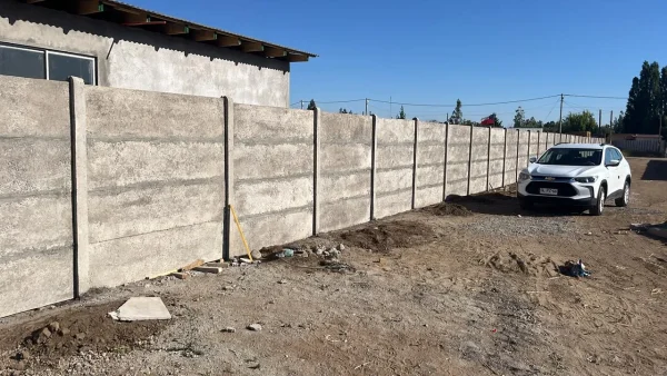 Pandereta Bulldog